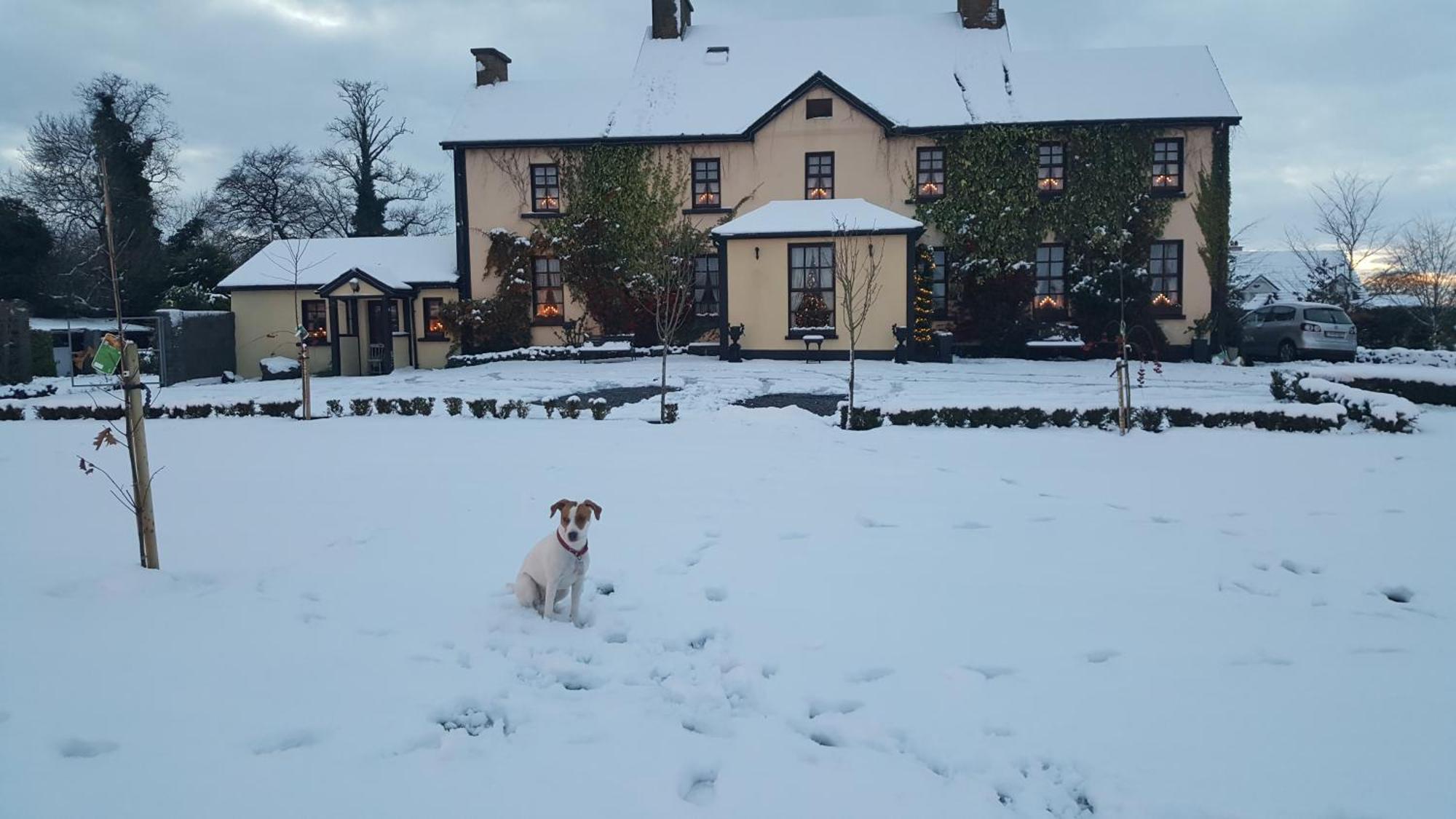 Charlotte'S Way B&B Banagher Extérieur photo