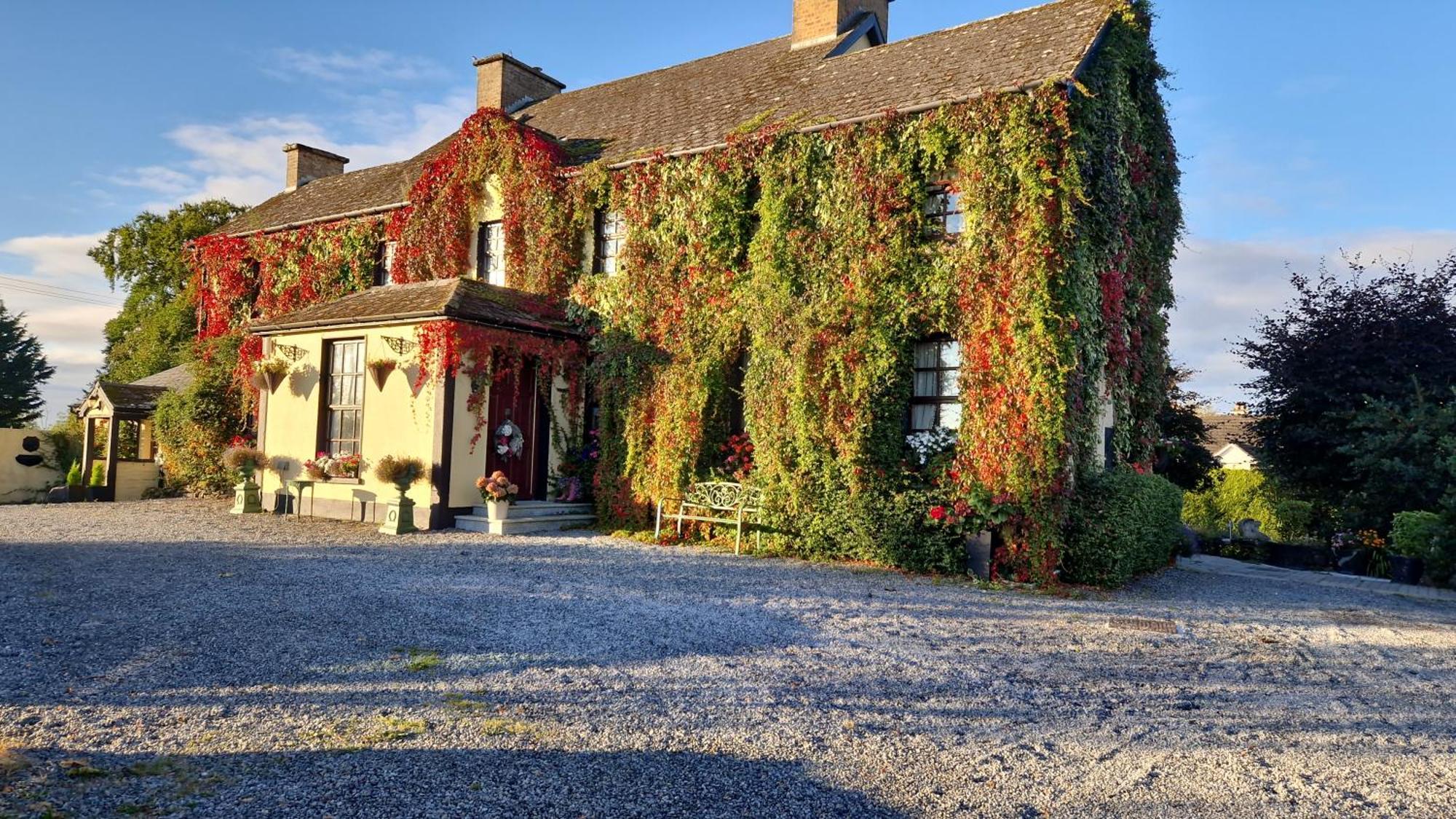 Charlotte'S Way B&B Banagher Extérieur photo